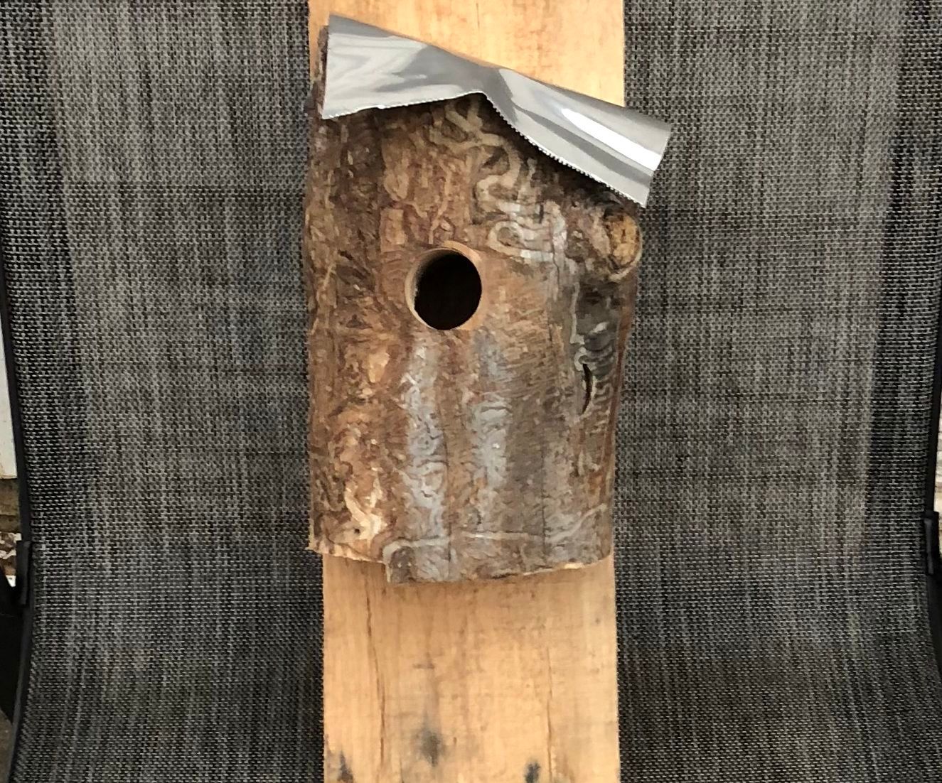 Tree Trunk / Tin Top Bird House