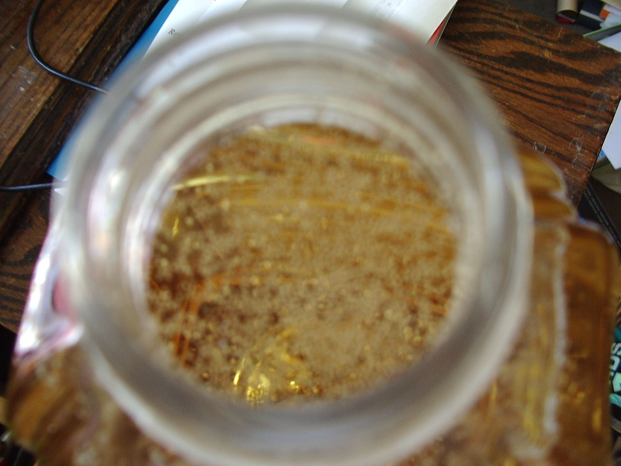 Making DIY Wine (Federweisser) 5 Steps Instructables