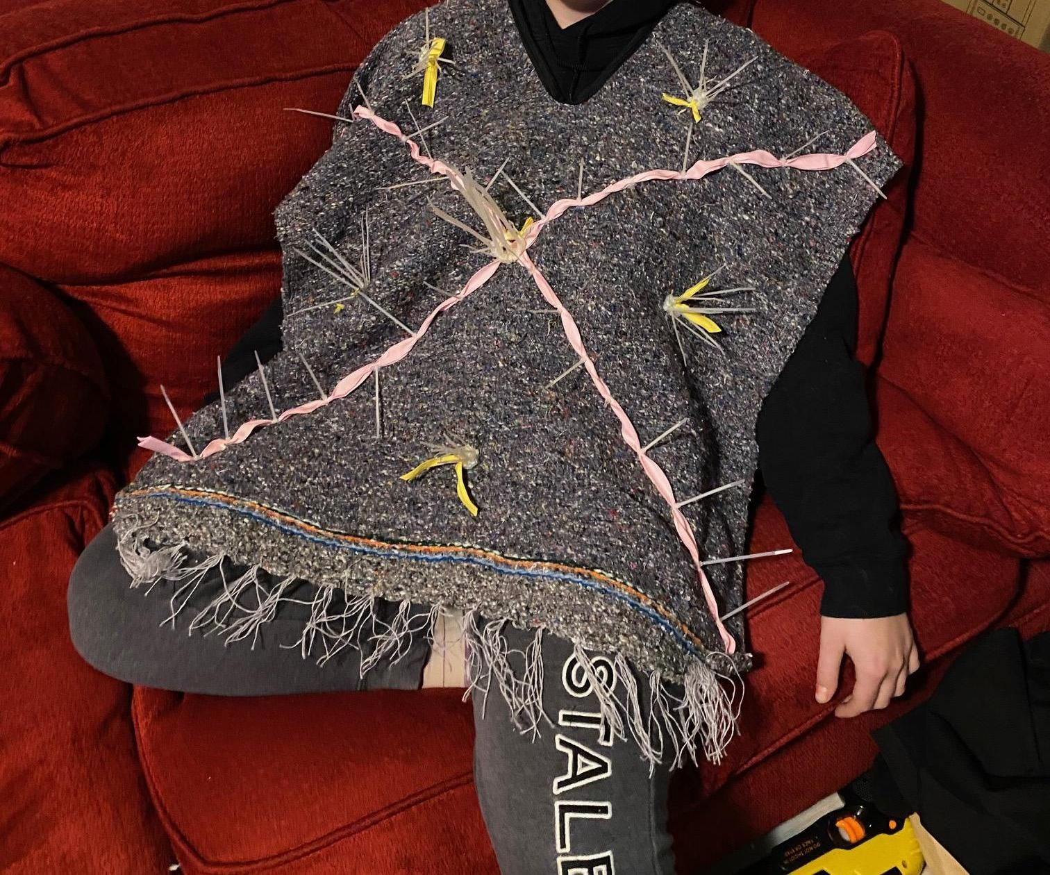 Cat Deterrent Blanket/Poncho