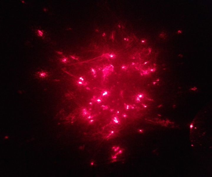 Laser + Glitter = Red Galaxy + Party
