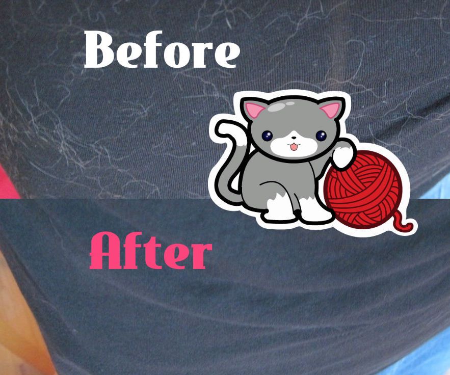 How to Easily Remove Pet Hairs From Clothes