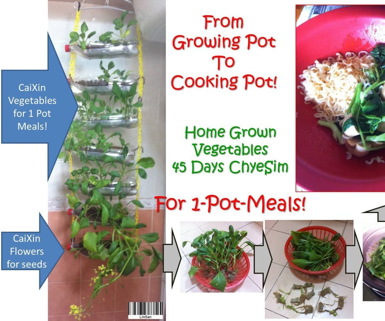 From Growing-pot to Cooking-pot