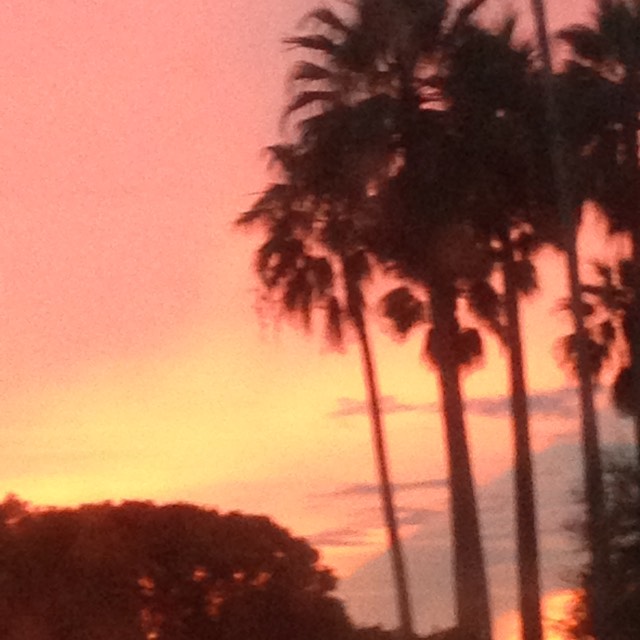 xXTotallyKoalafiedXx