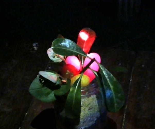 DIY Jar With Hidden Copartment