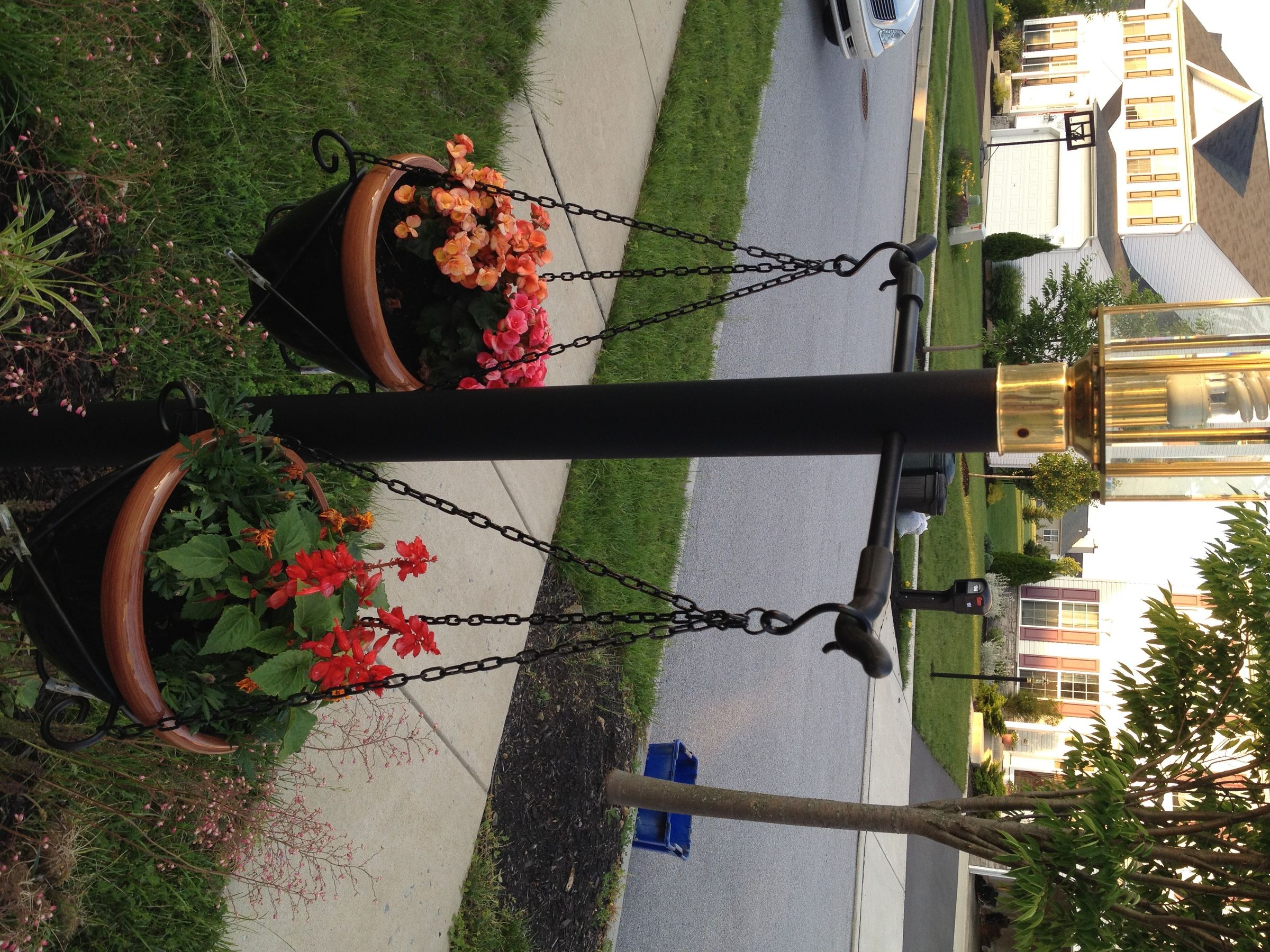 Making Neighbor Jealous With Light Post Garden