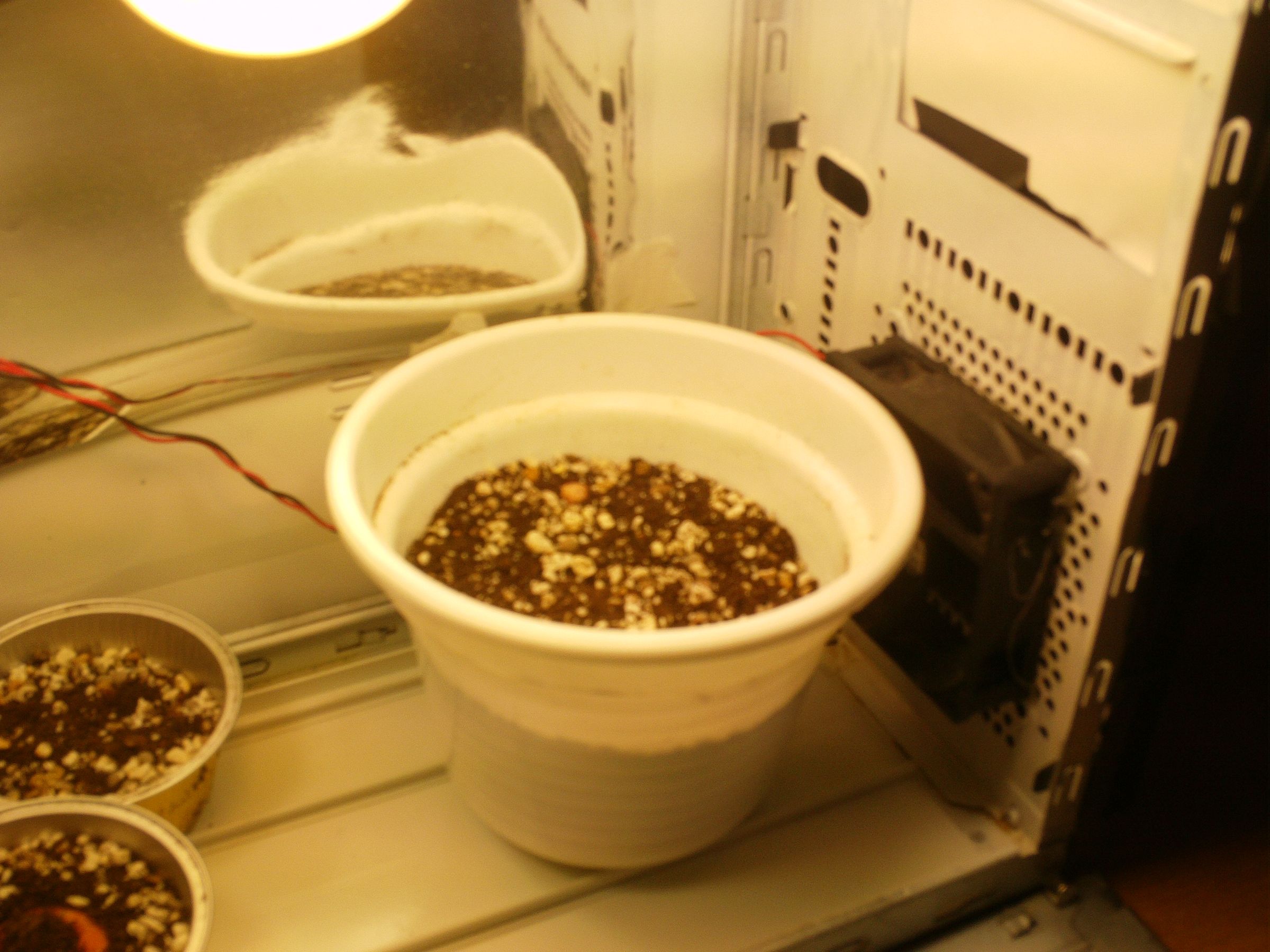 Transforming an Old PC Box Into a Mini-indoor Grow System. Transformar ...