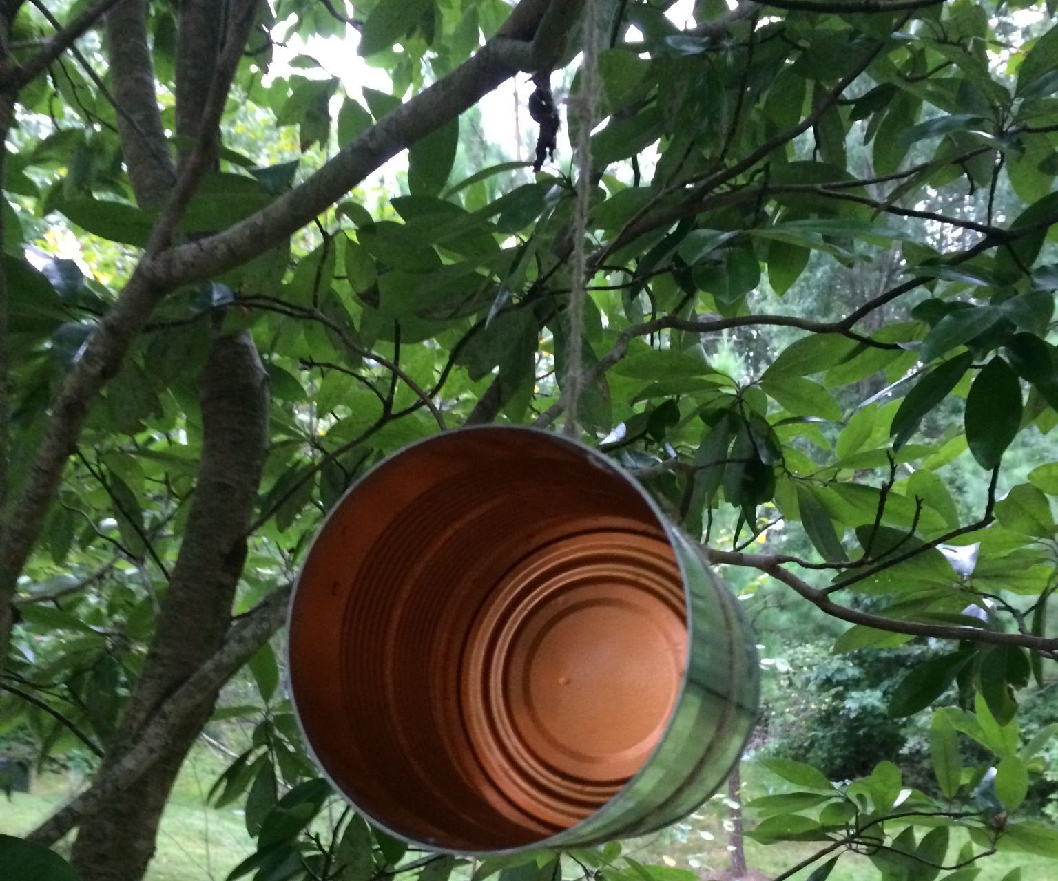 How to Make a Simple Modern Birdhouse