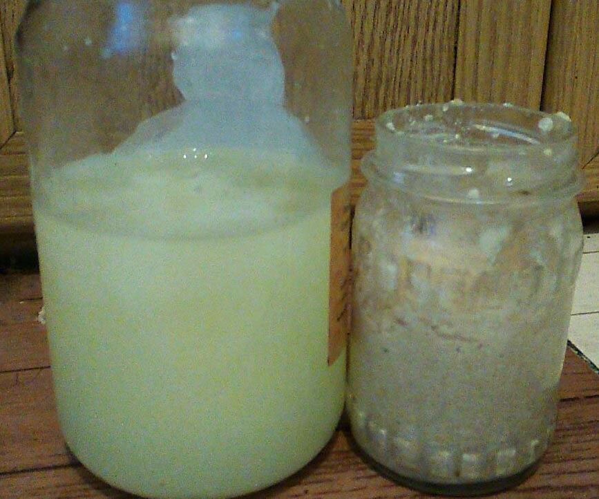 Healthy Dairy Package