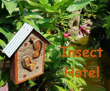 Insect Hotel