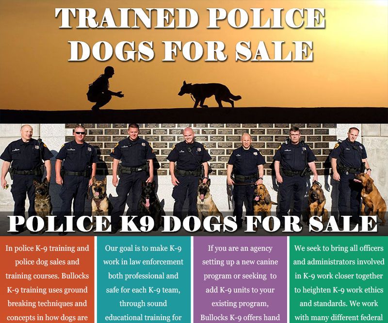 Trained Police Dogs for Sale