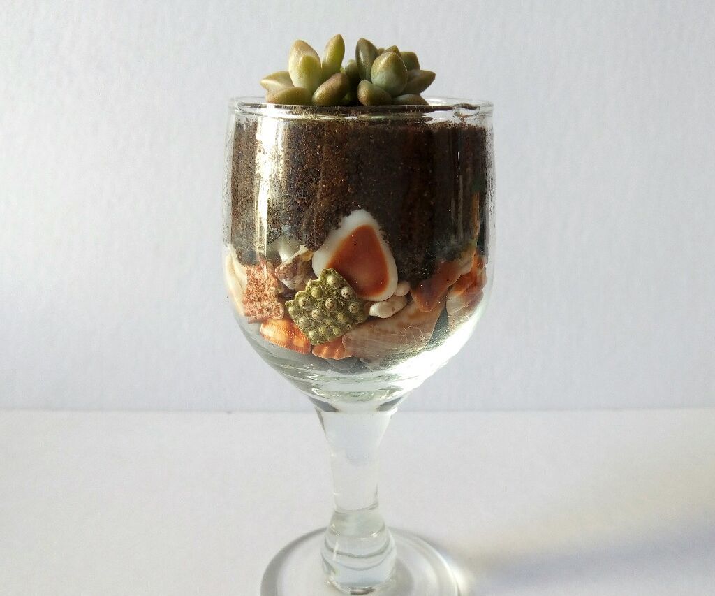 Mini Wine Glass Pot