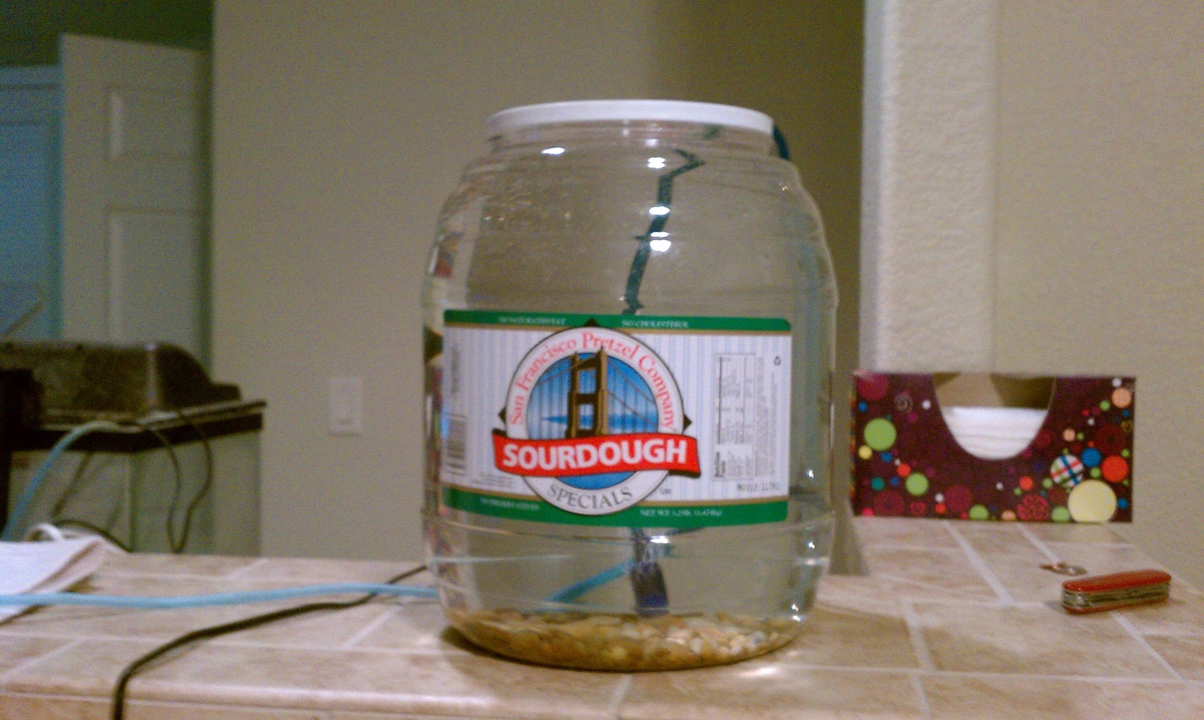 Pretzel Jar aquarium