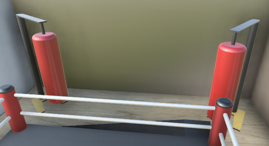 Upper Body/Boxing Training Room