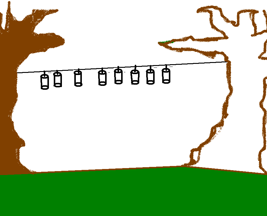 BB Gun Target