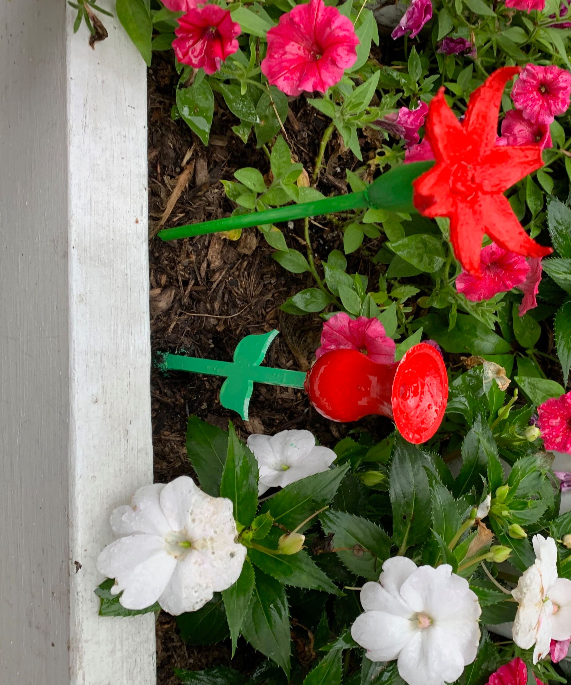 RED Hummingbird Feeders