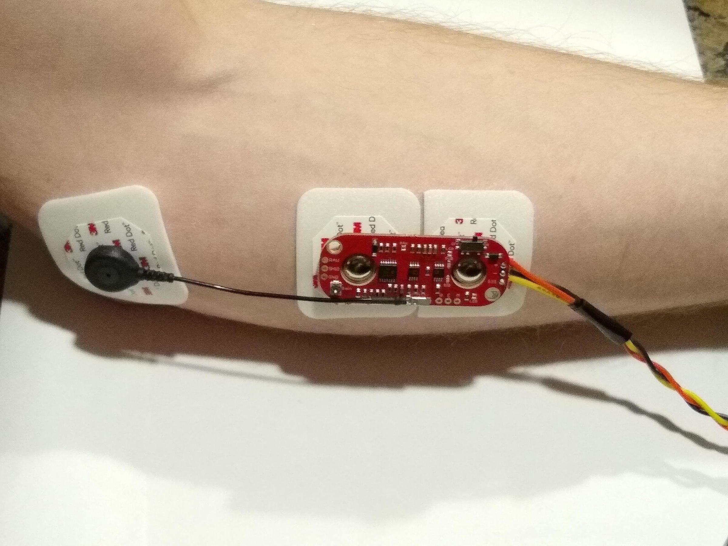Muscle Powered Flappy Bird : 9 Steps (with Pictures) - Instructables