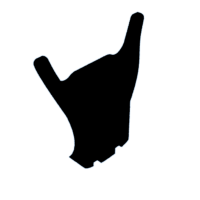 download {{ file.name }}