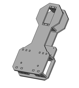 Torso