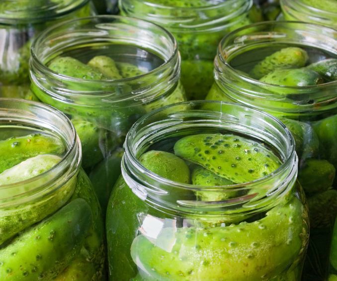 Real New Your Style Kosher Dills