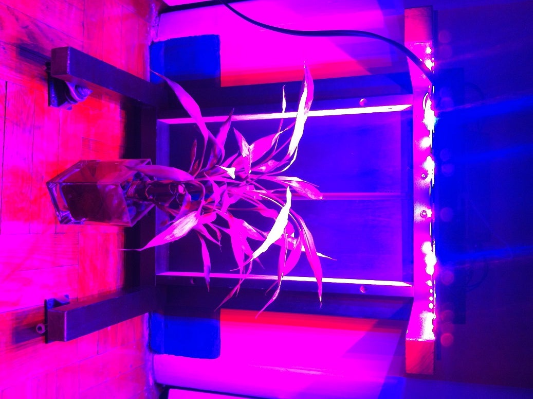 108W LED Grow Light Panel 9 Steps Instructables