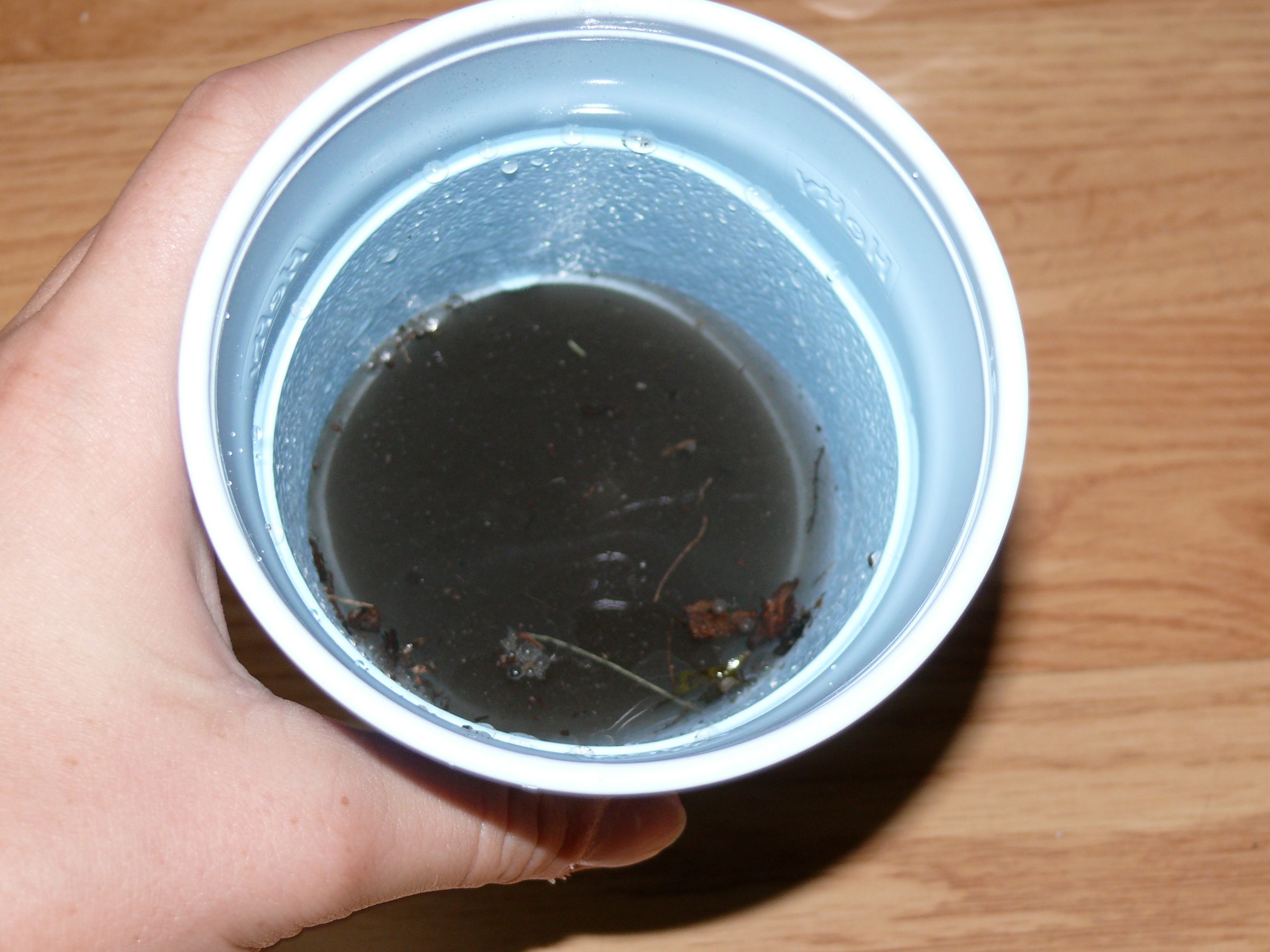 How to Remove Dirt From Water 4 Steps Instructables