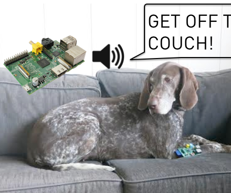 Invisible Dog Trainer