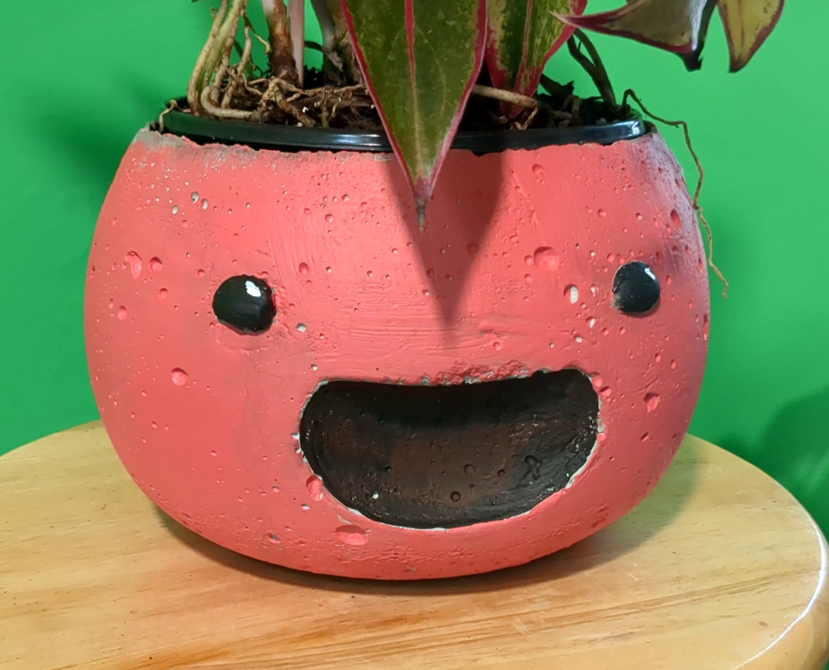 Printed Pink Planter