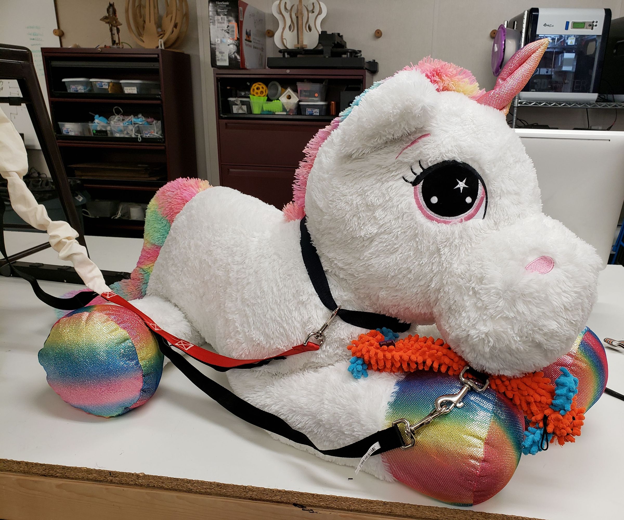 The Affordable Training Leash for Dogs