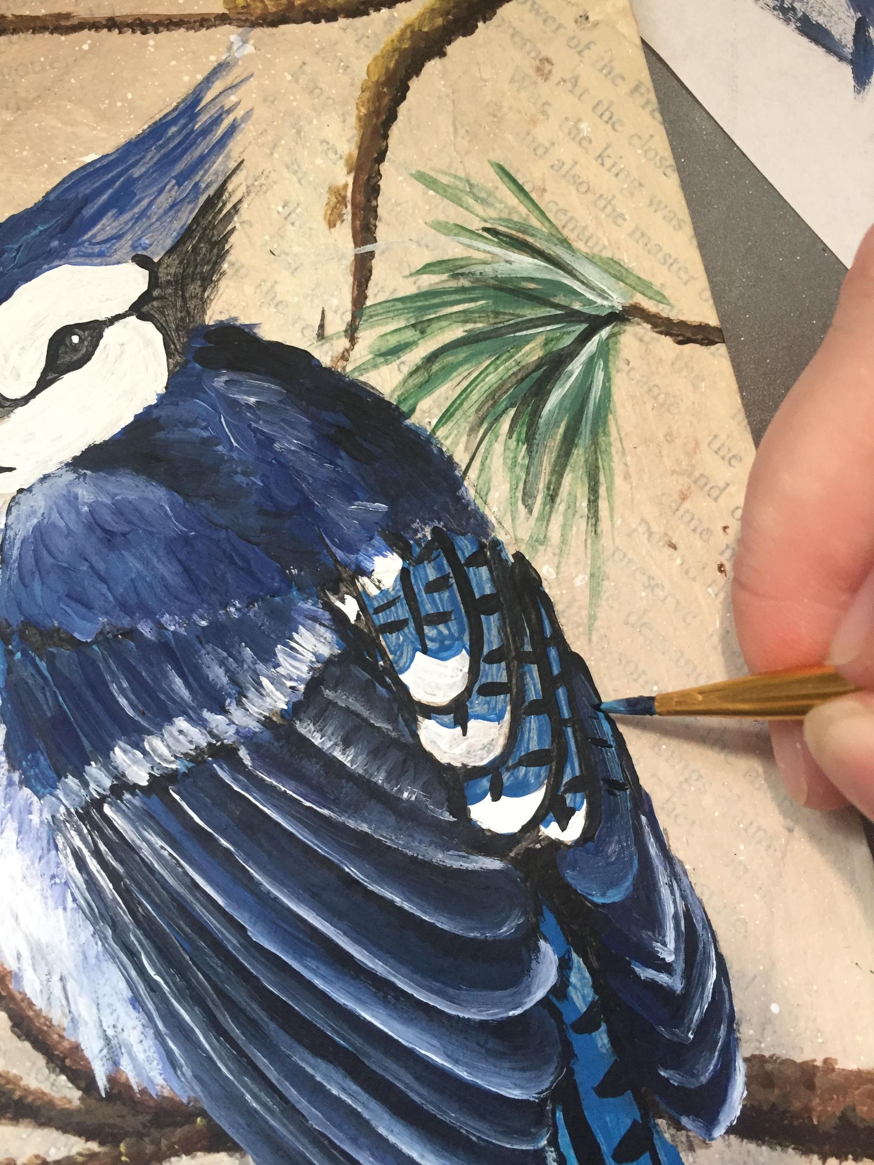 How to Paint a Blue Jay on a Branch. 13 Steps (with Pictures