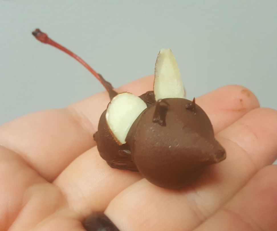 Chocolate Mice