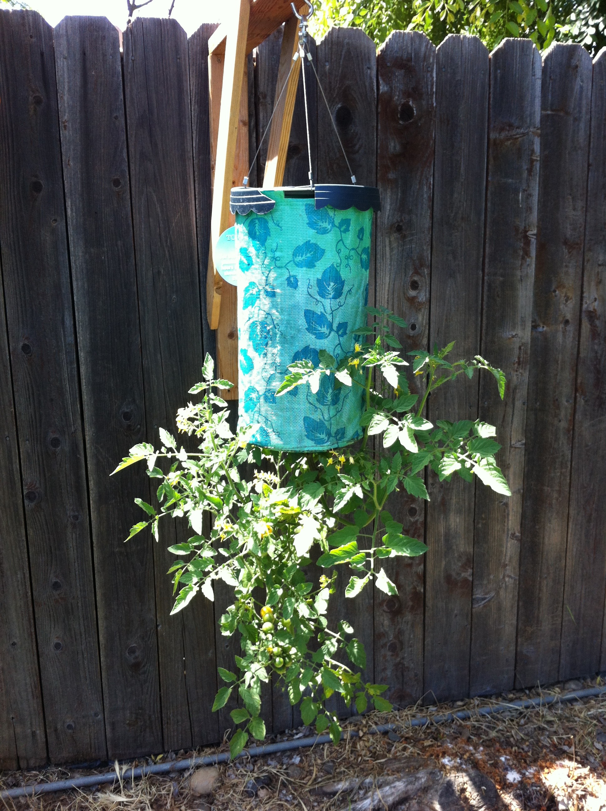 Windmill Squirrel Deterrent