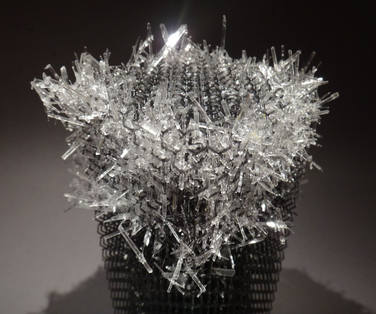 How to Grow Salt Crystals!