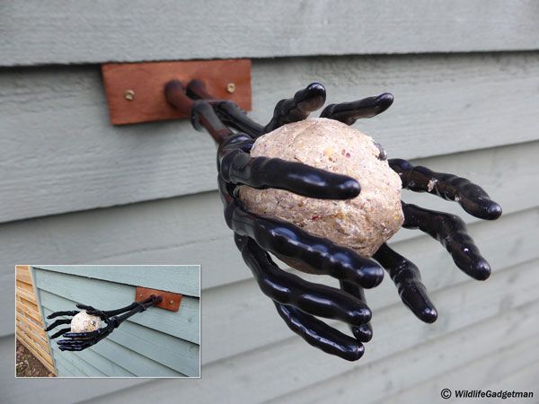 Make A Spooky Halloween Fat Ball Feeder For Garden Birds