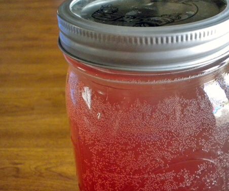 How to Make Your Own Soda!