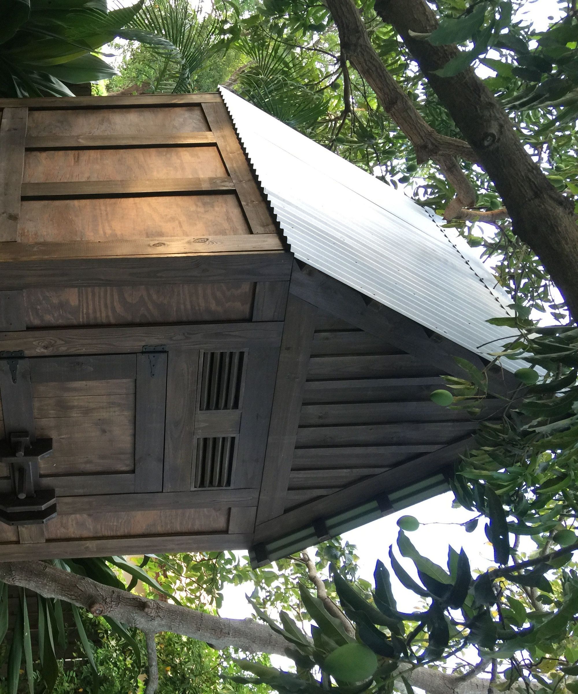 Whimsical Shed