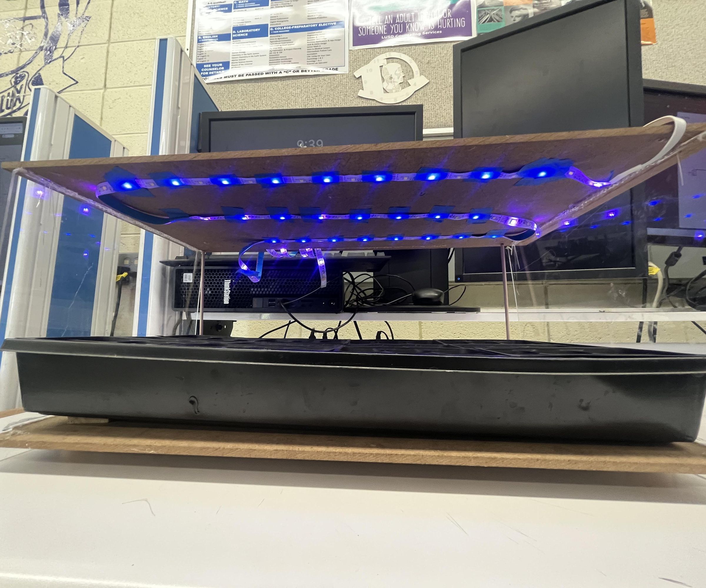 Indoor Vertical Farm