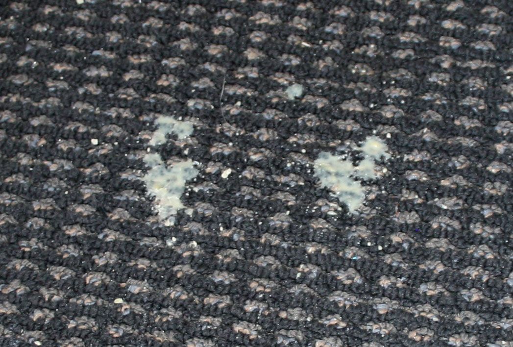 Get Wax Out of Carpet