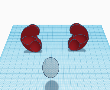 Sculpting the Kidneys