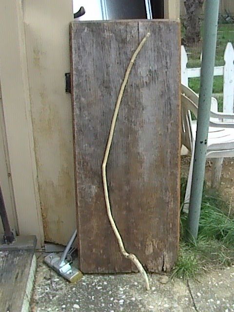 The Wooden Scimitar (Arab Sword)