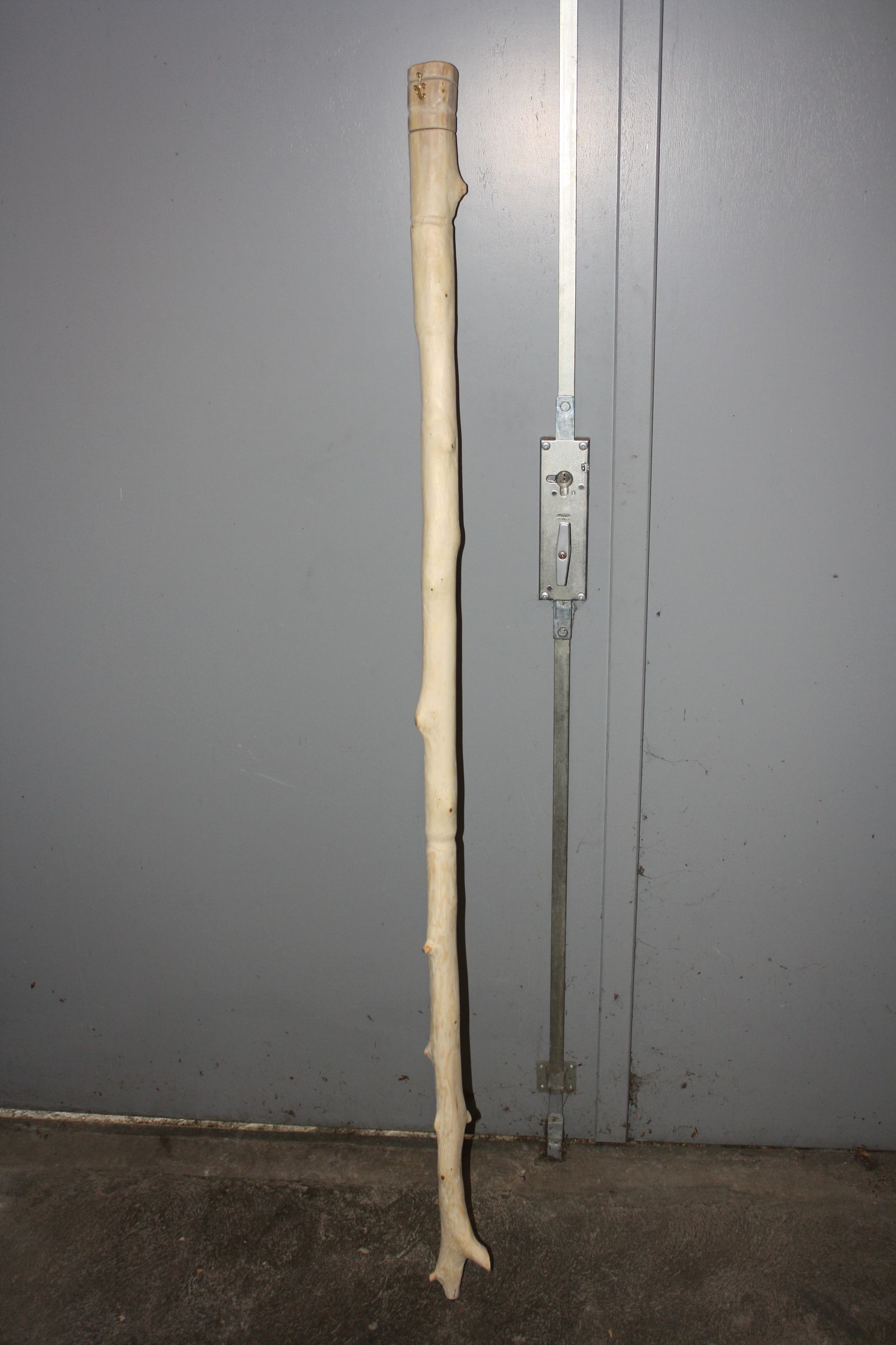 Multipurpose Walking Staff (Monopod for Cameras)