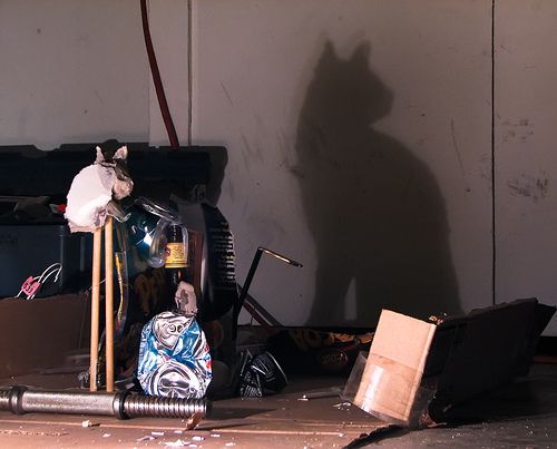 Shadow Sculptures!