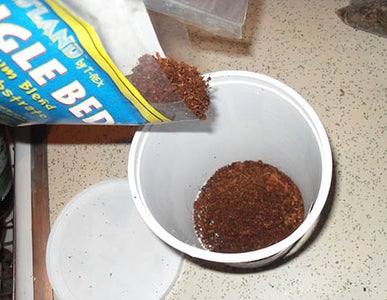 Alt for Arboreal Geckos/ Digging or Mini Nest Pit