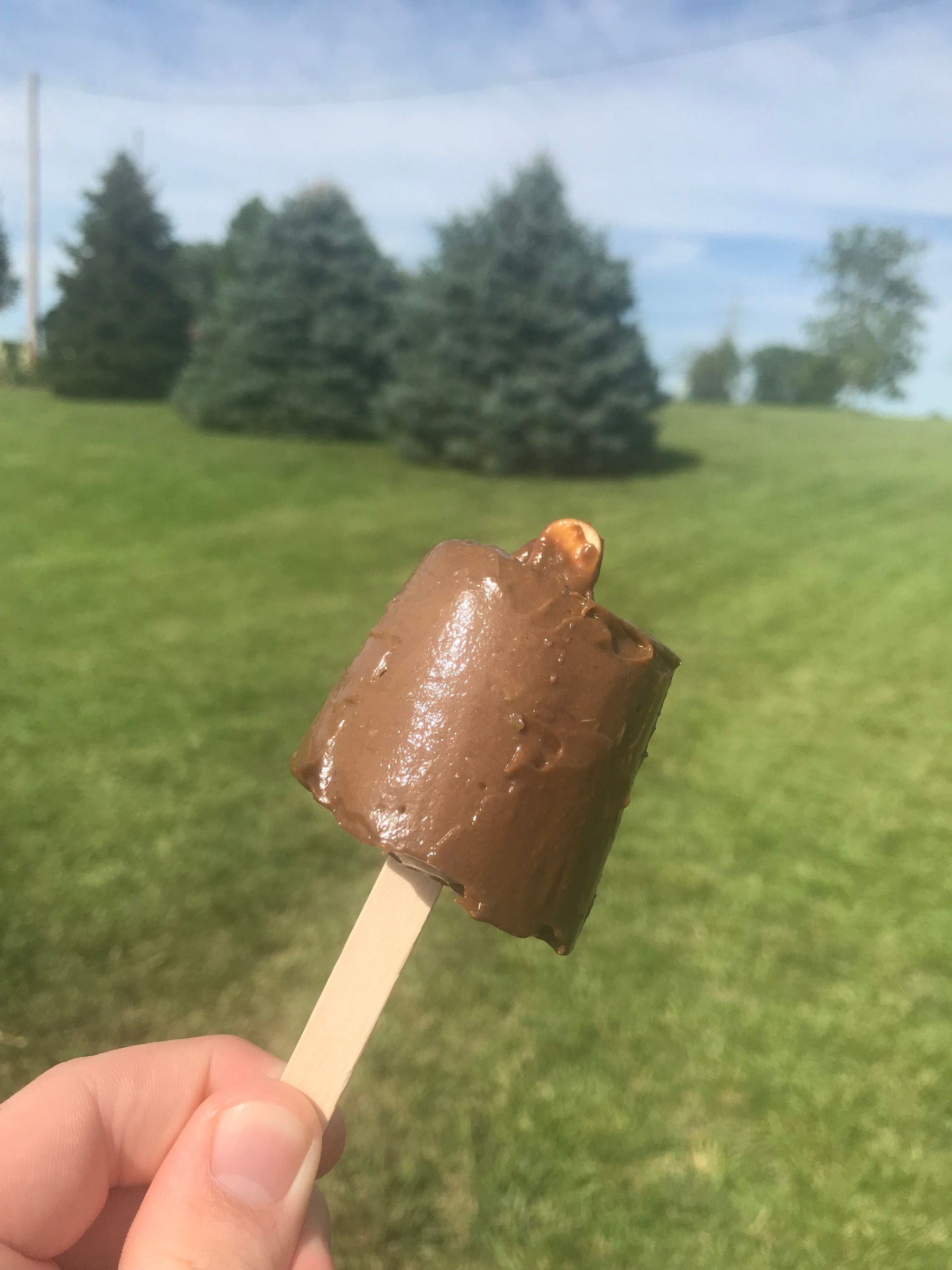 Creamy Avocado Fudge Pops 6 Steps (with Pictures) Instructables