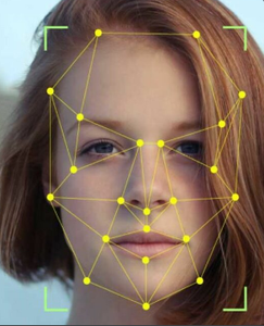 Writing the Code to Detect Faces in the Video Stream