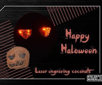 Laser Cut Coconut Shell