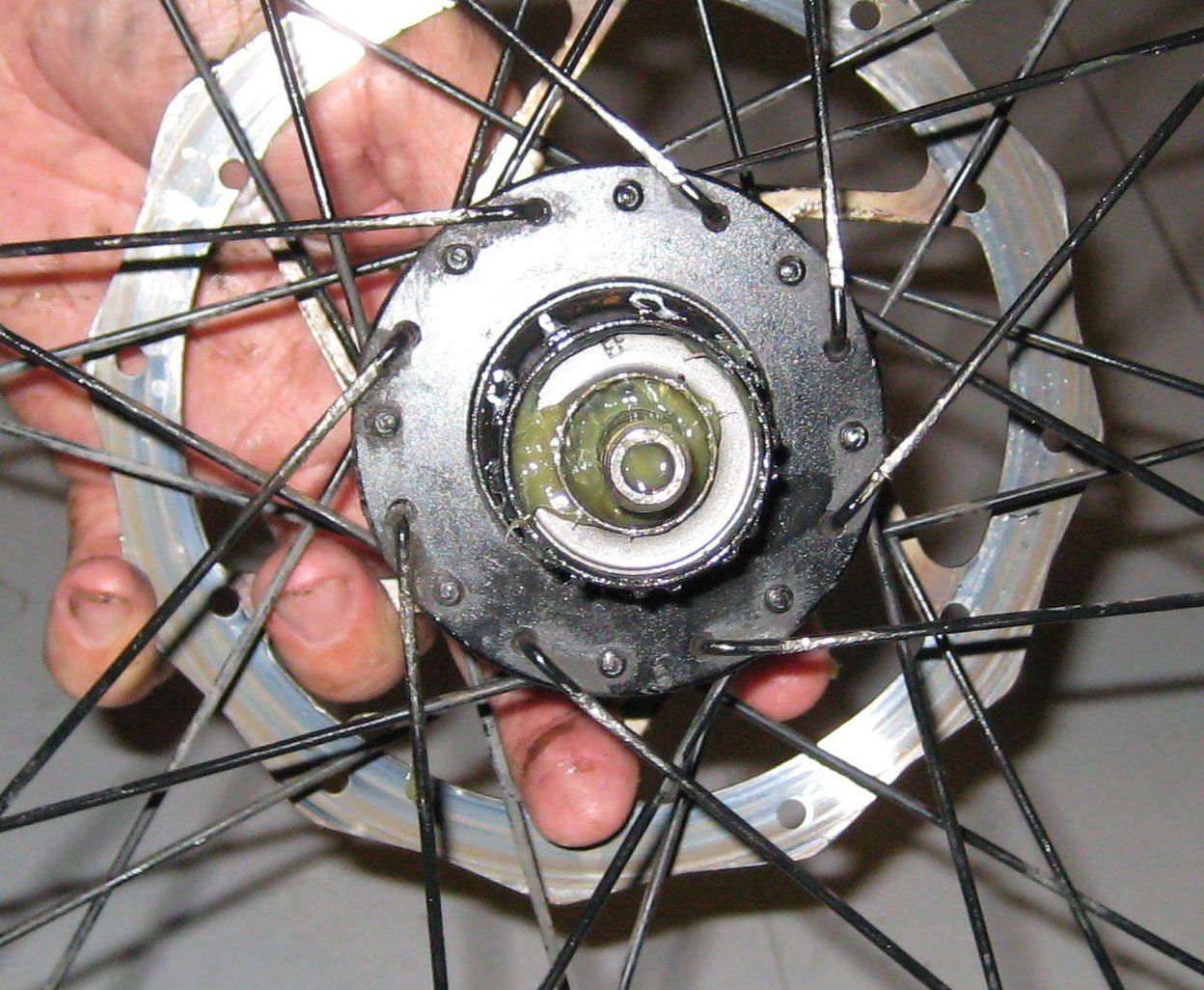 Fix Your Bike. Grease Your Bearings and Change Your Freewheel. 14