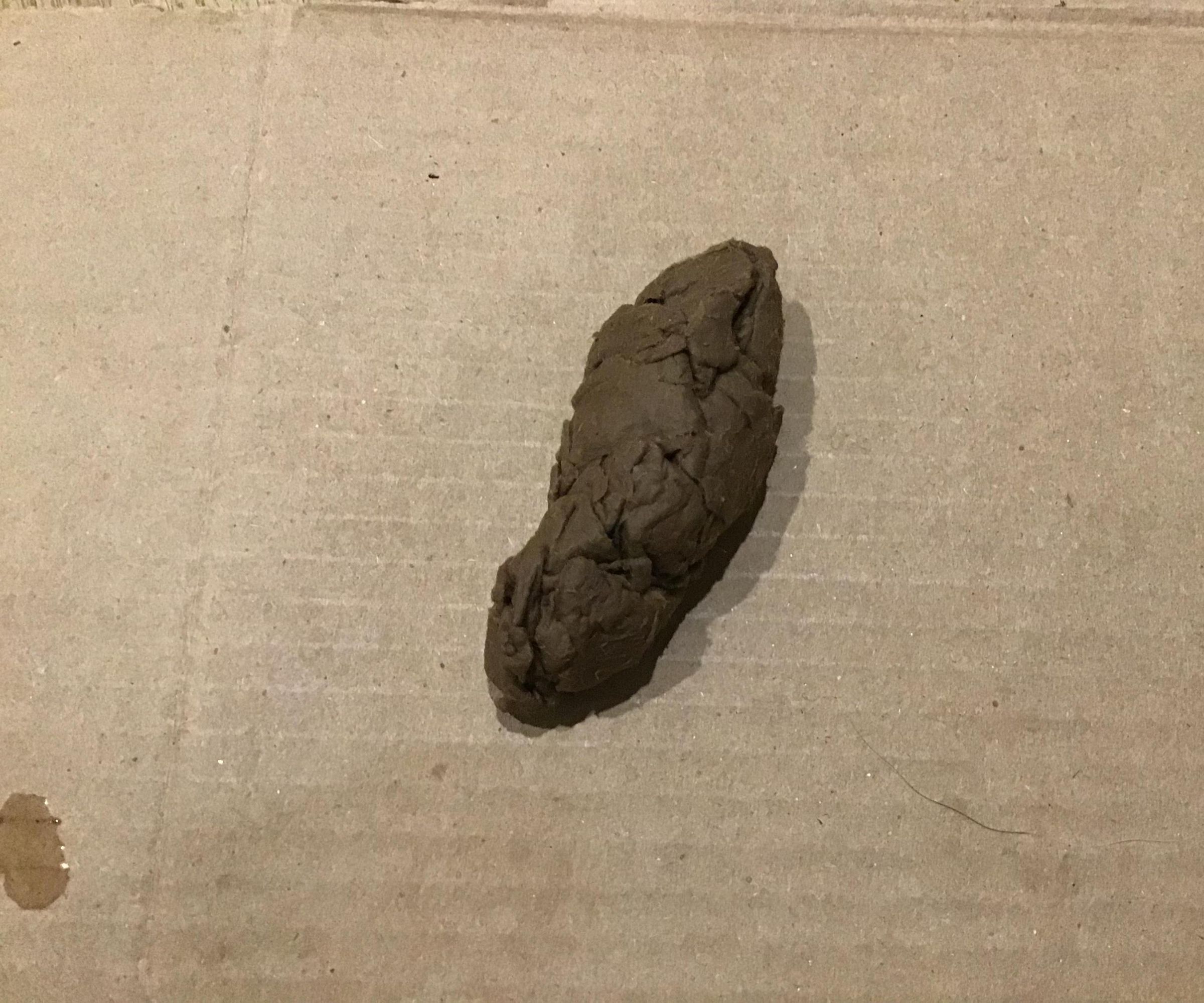 DIY Fake Poop
