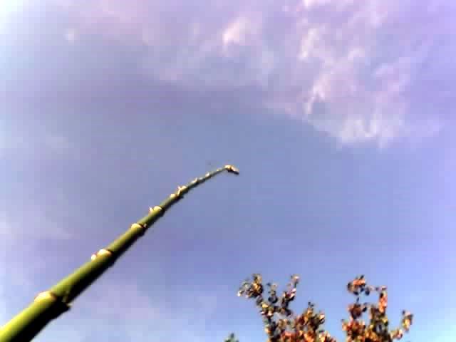 Birds-eye-view Camera