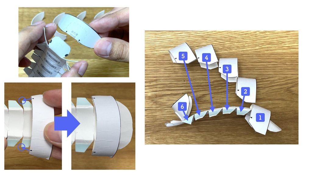 Roly-poly, Toilet Paper Core Crafts : 9 Steps (with Pictures ...