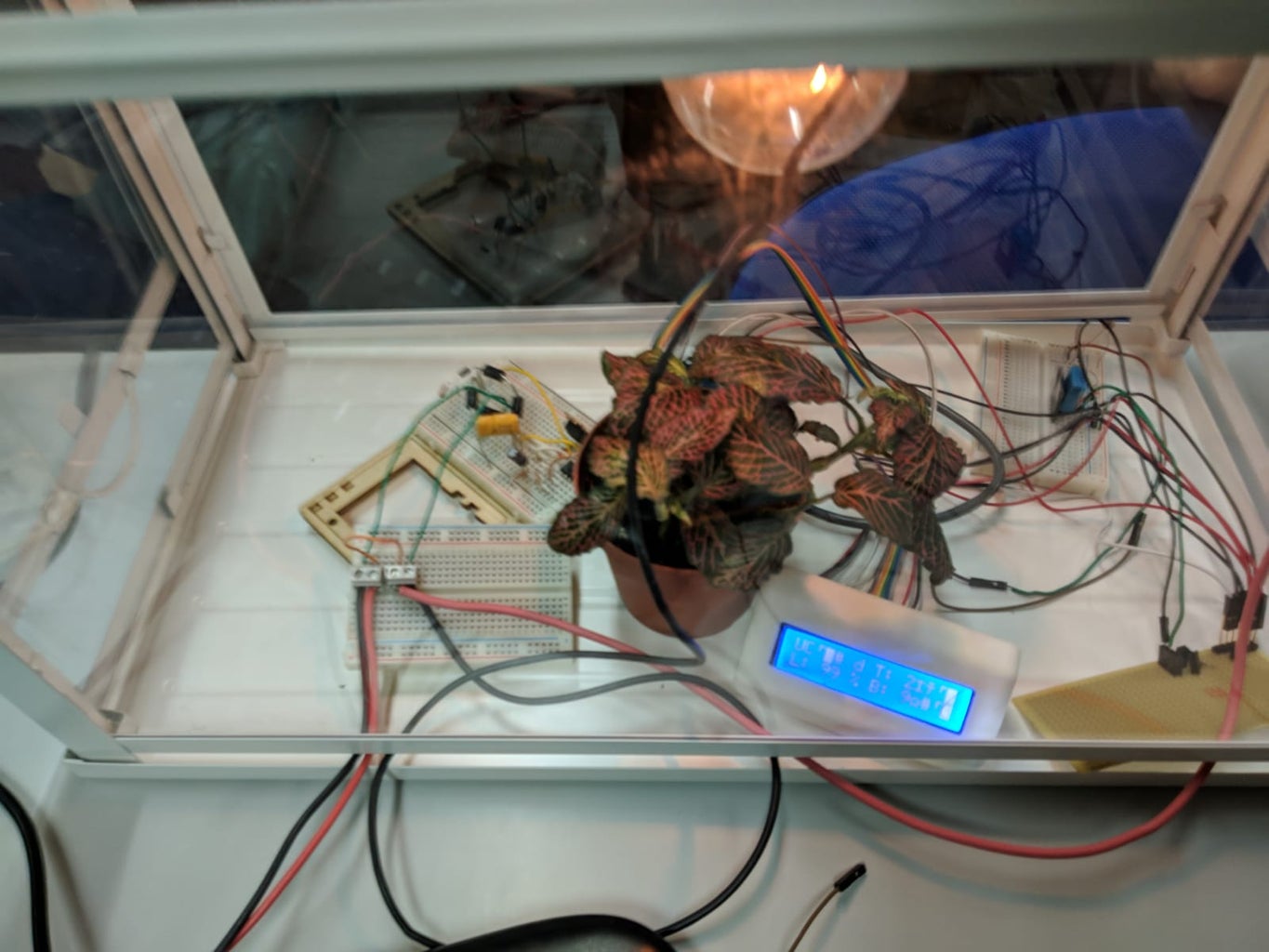 Greenhouse : 9 Steps Circuit Diagram